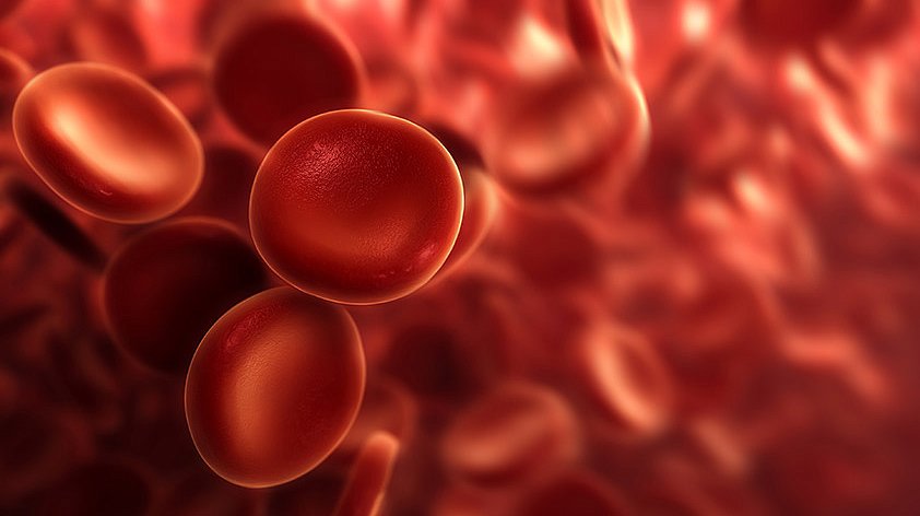 Диффузионная модель CytoDiffusion превзошла врачей в обнаружении аномалий клеток крови